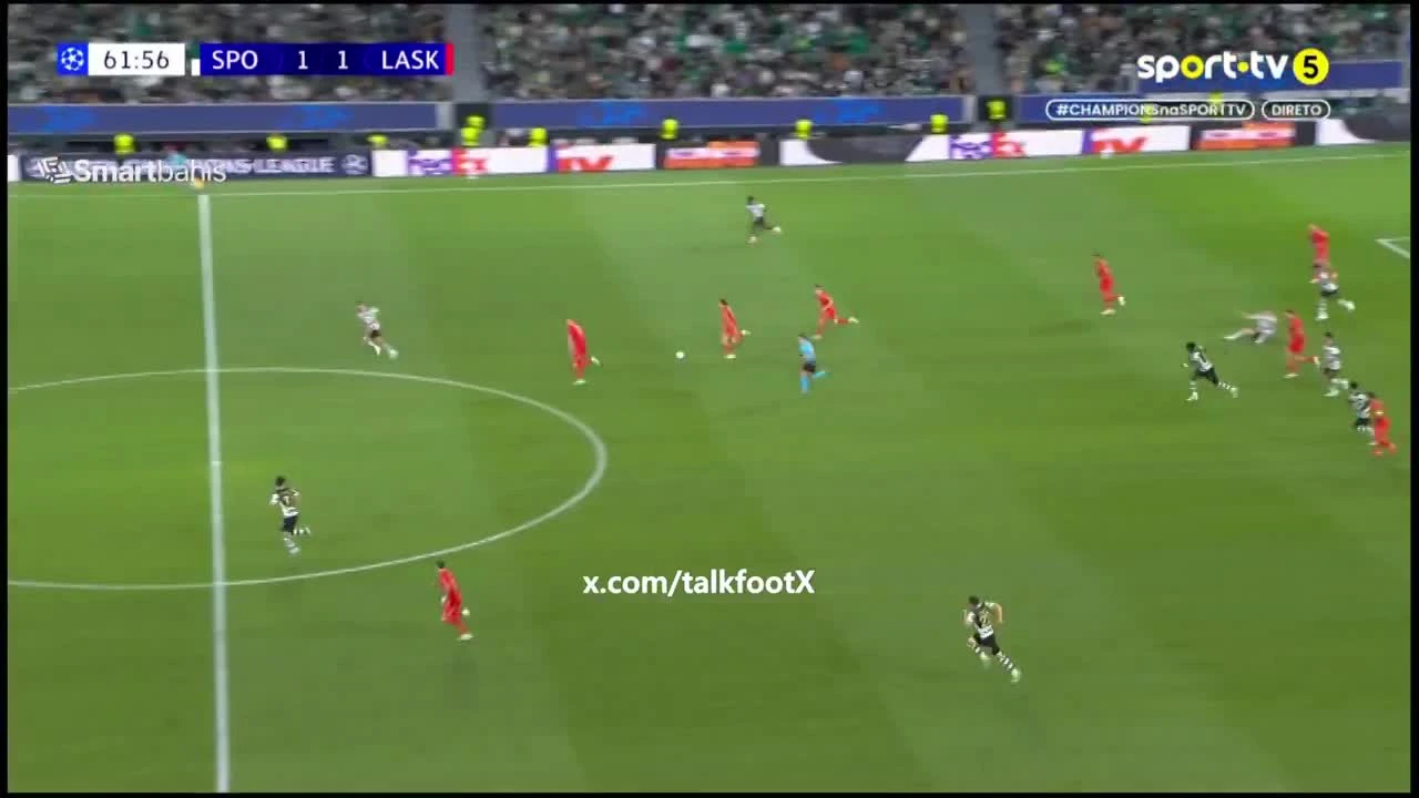 zaslepka skrotu video