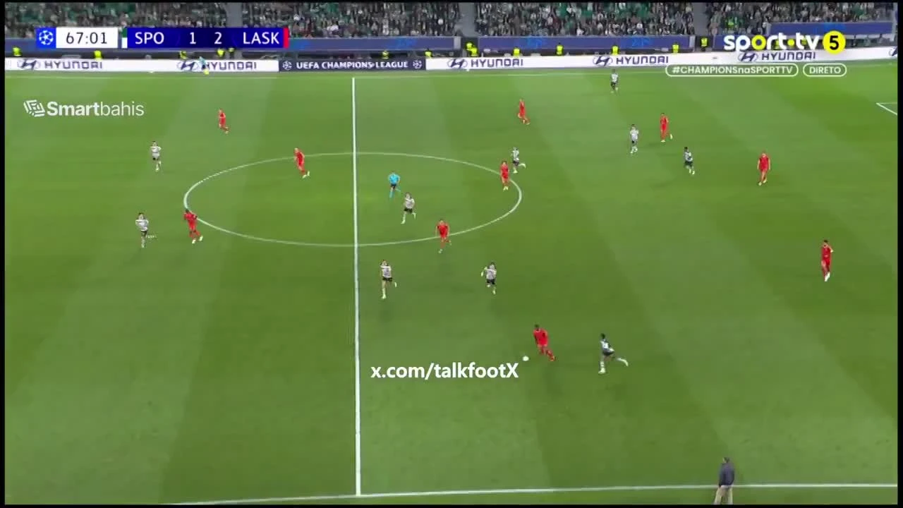 zaslepka skrotu video
