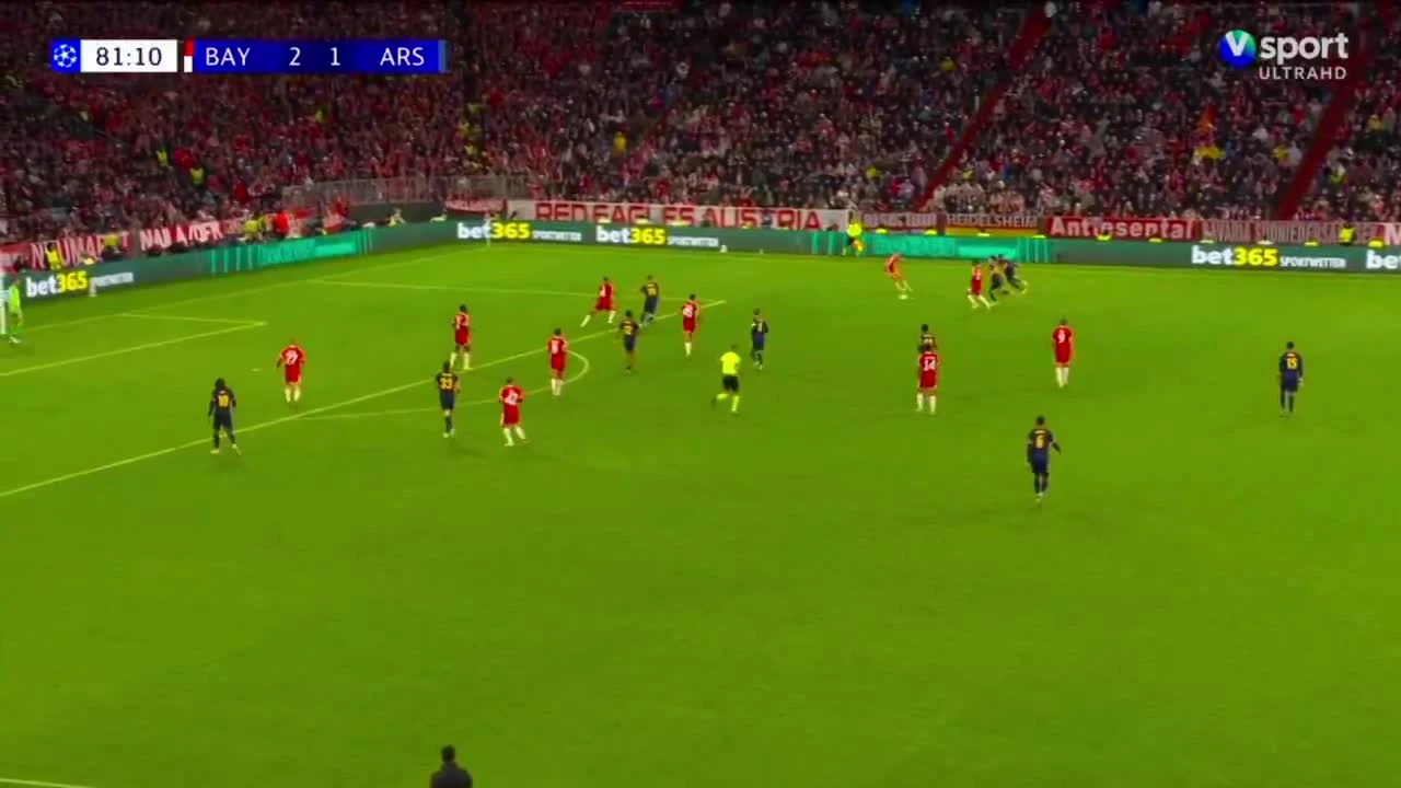 zaslepka skrotu video