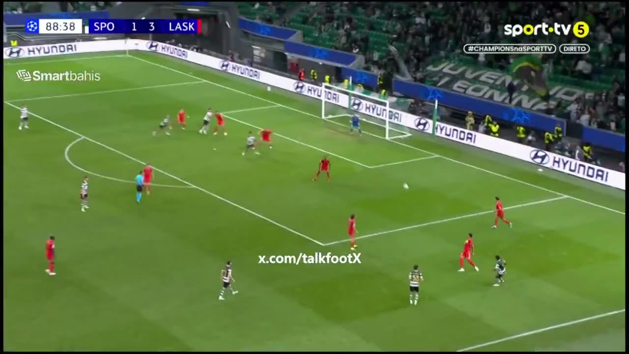 zaslepka skrotu video