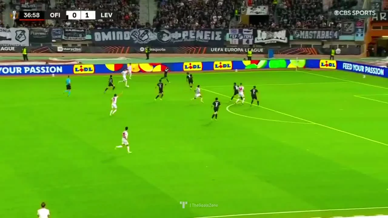 zaslepka skrotu video