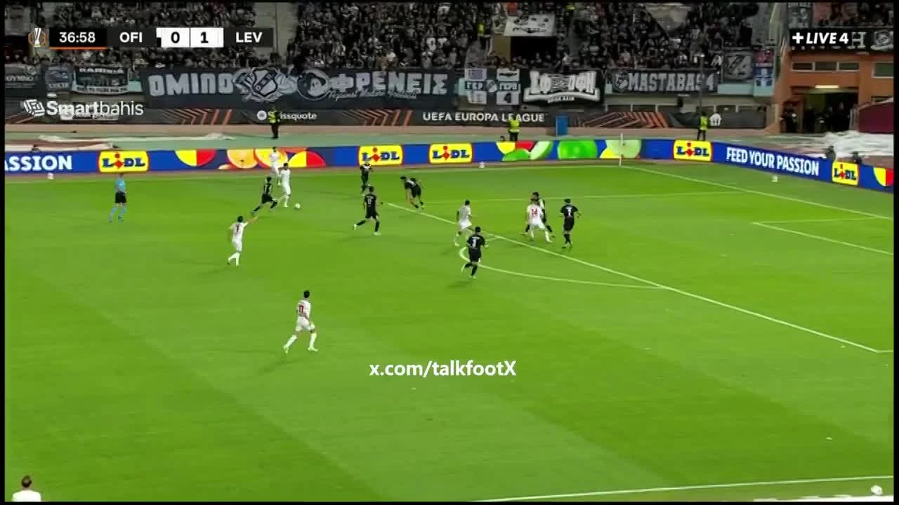 zaslepka skrotu video