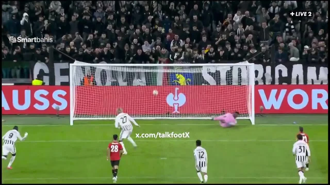zaslepka skrotu video