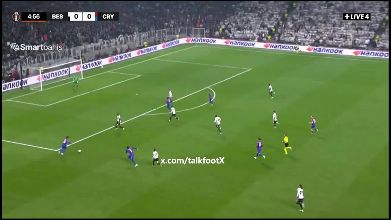 zaslepka skrotu video