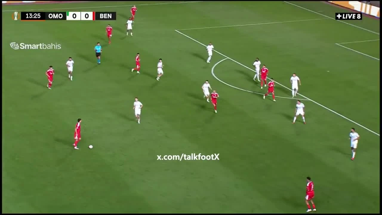 zaslepka skrotu video