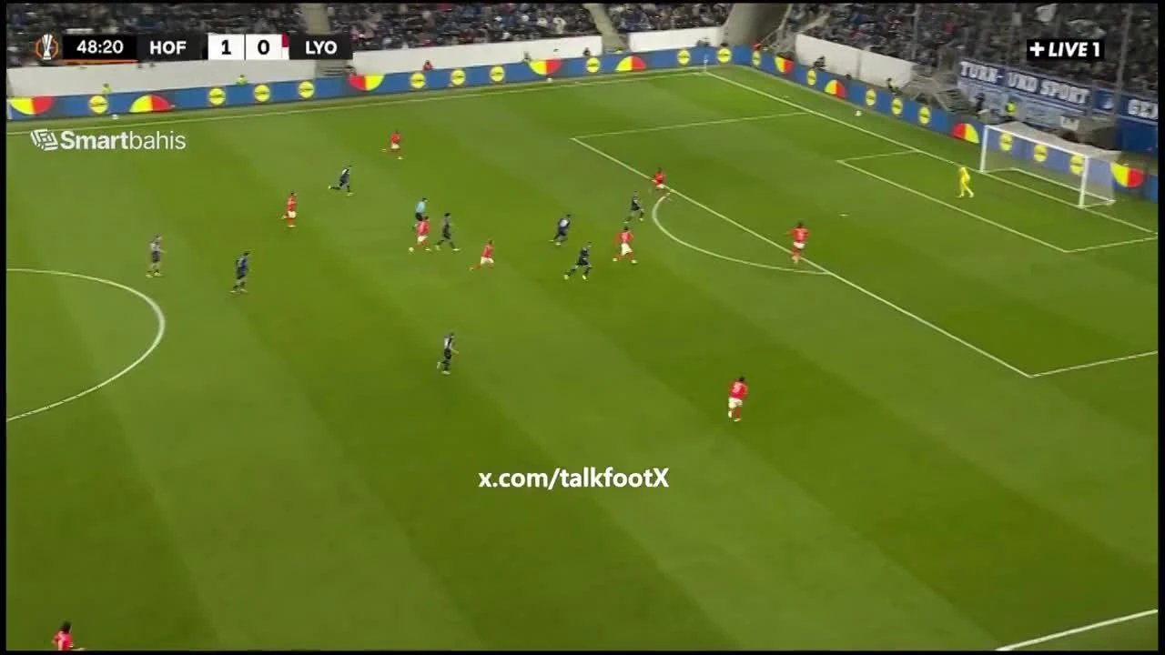zaslepka skrotu video