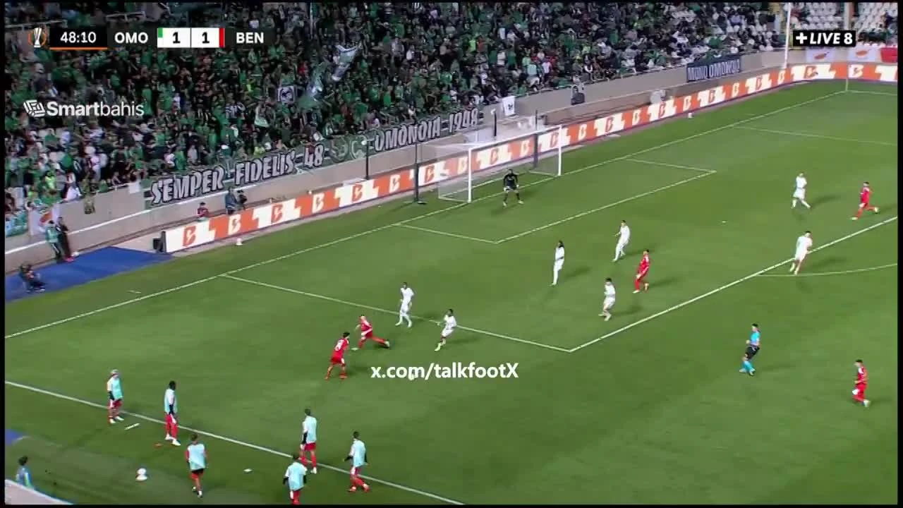 zaslepka skrotu video