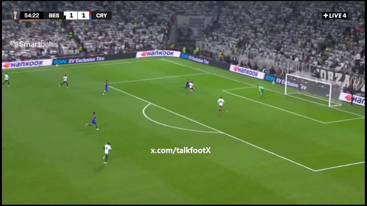 zaslepka skrotu video