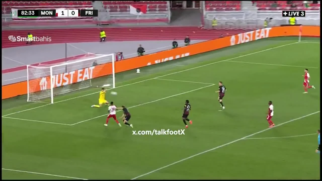zaslepka skrotu video