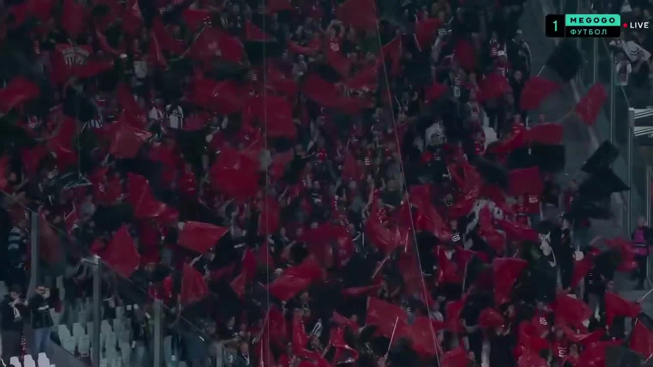 zaslepka skrotu video