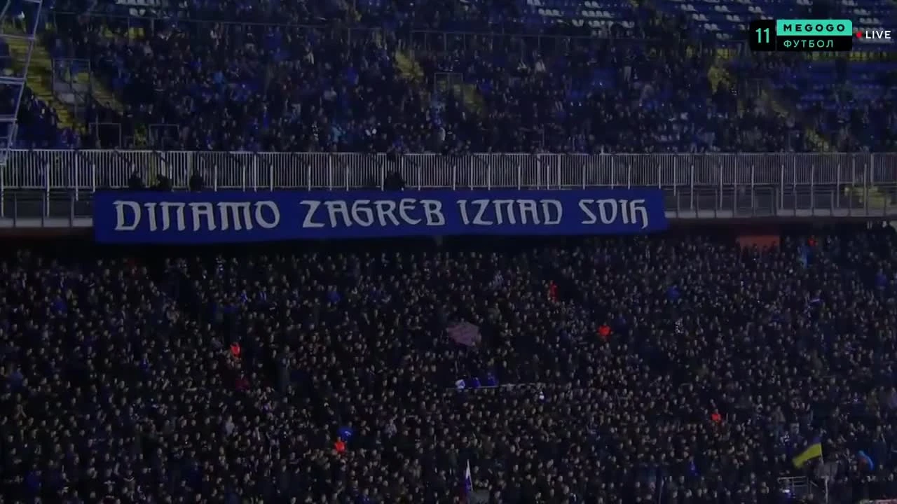 zaslepka skrotu video