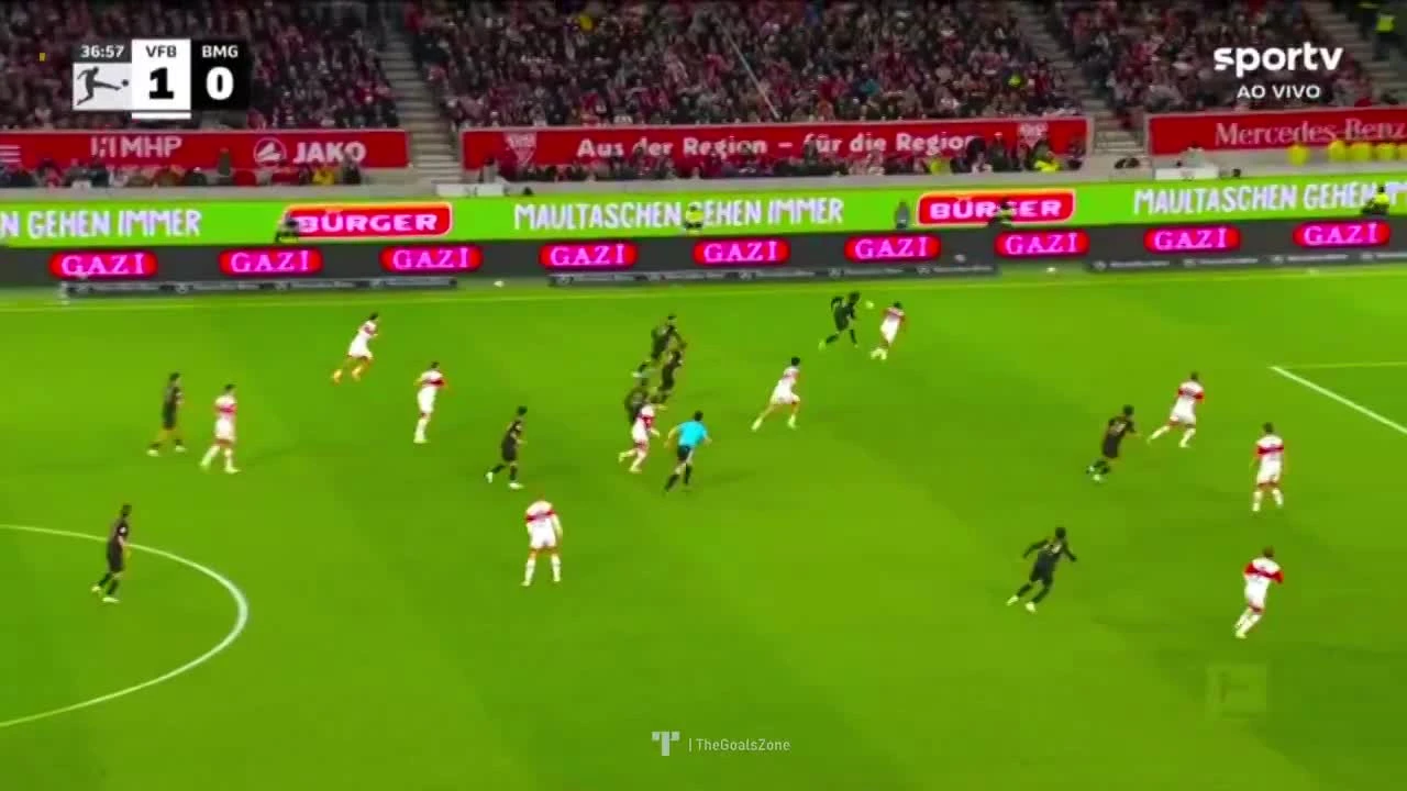zaslepka skrotu video