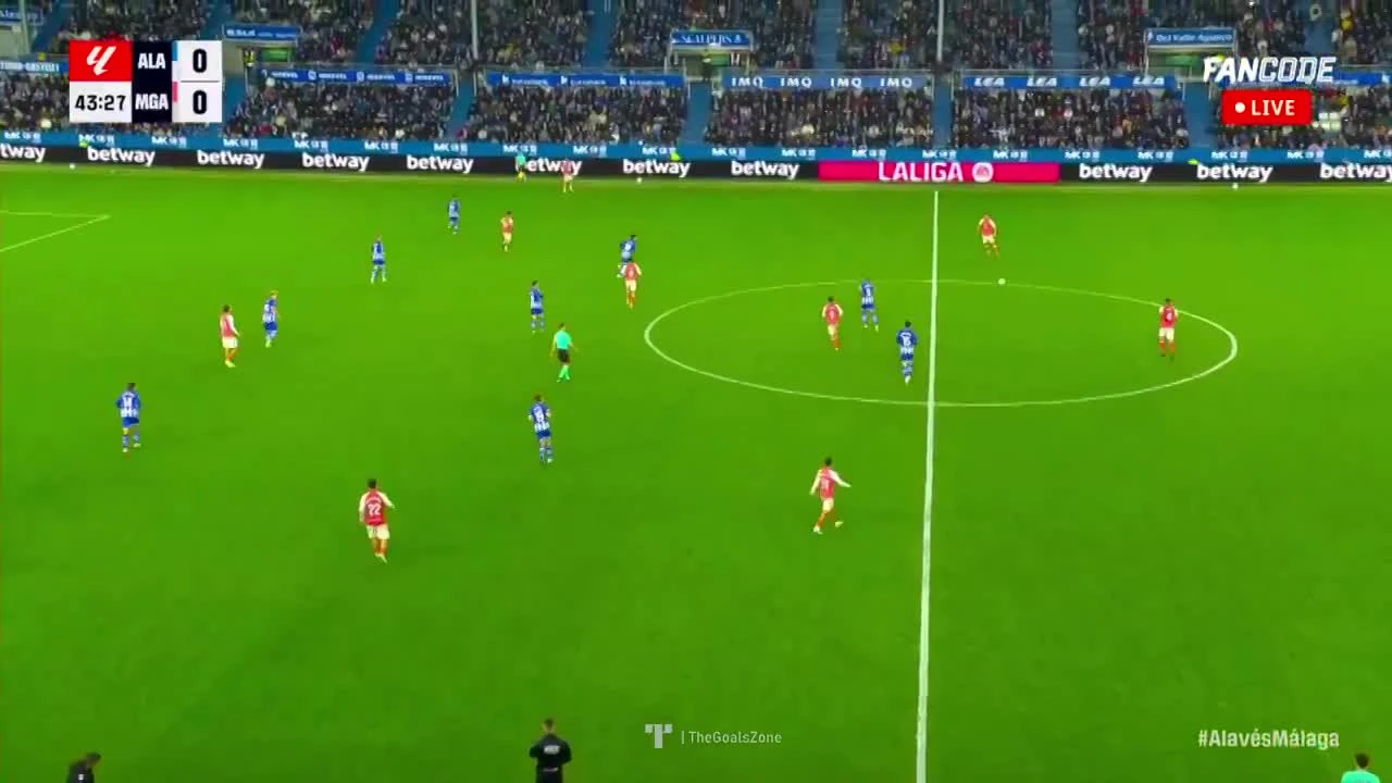 zaslepka skrotu video