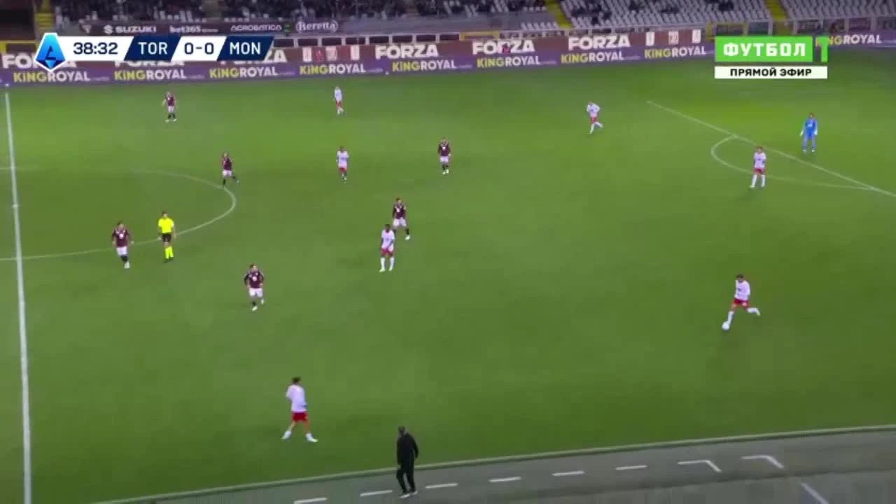 zaslepka skrotu video