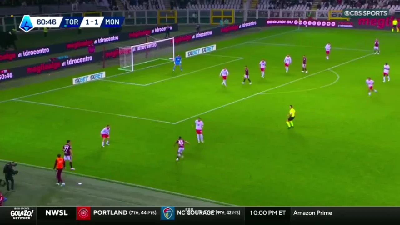 zaslepka skrotu video