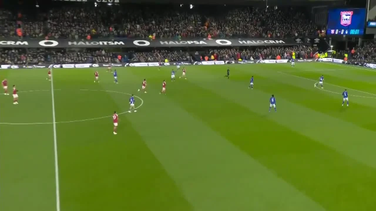 zaslepka skrotu video