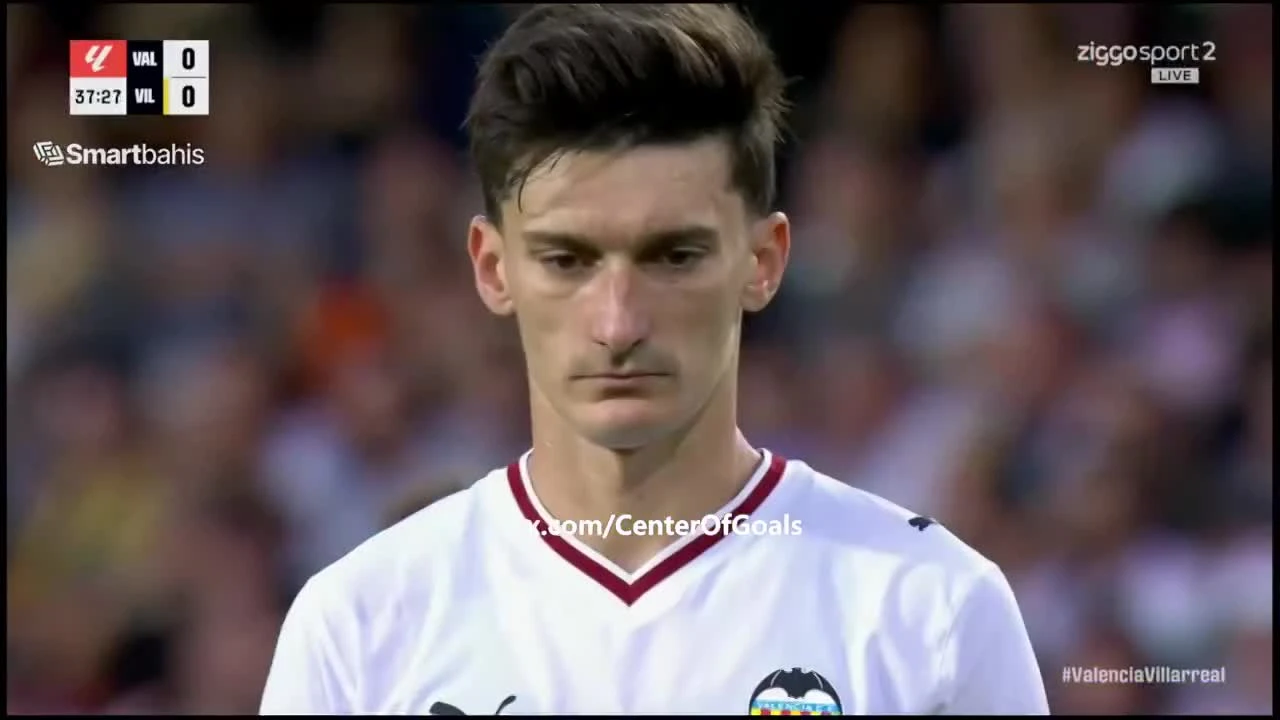 zaslepka skrotu video