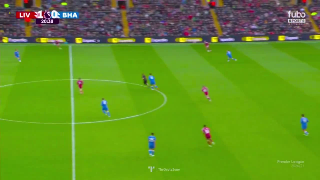 zaslepka skrotu video