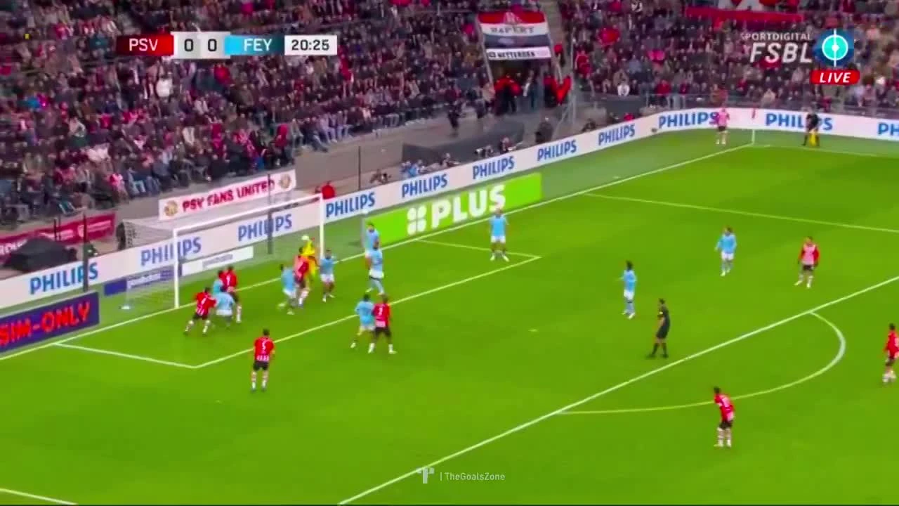 zaslepka skrotu video