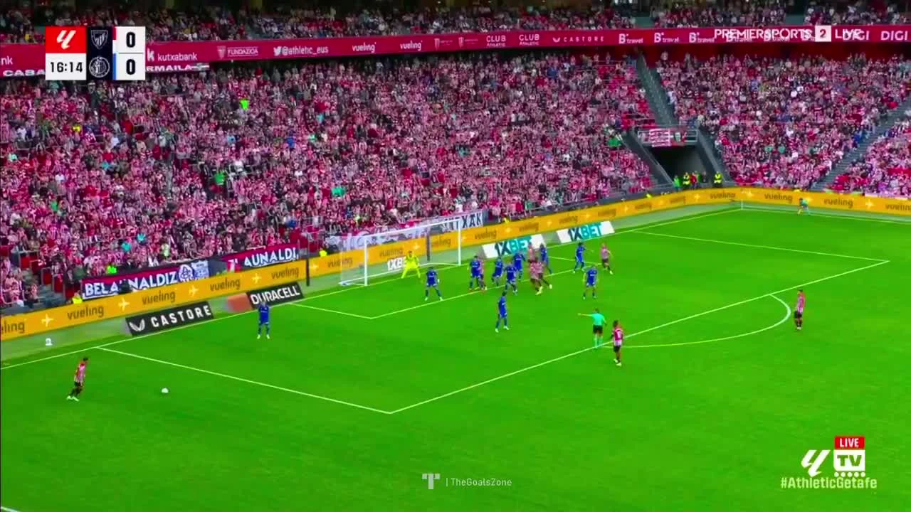 zaslepka skrotu video