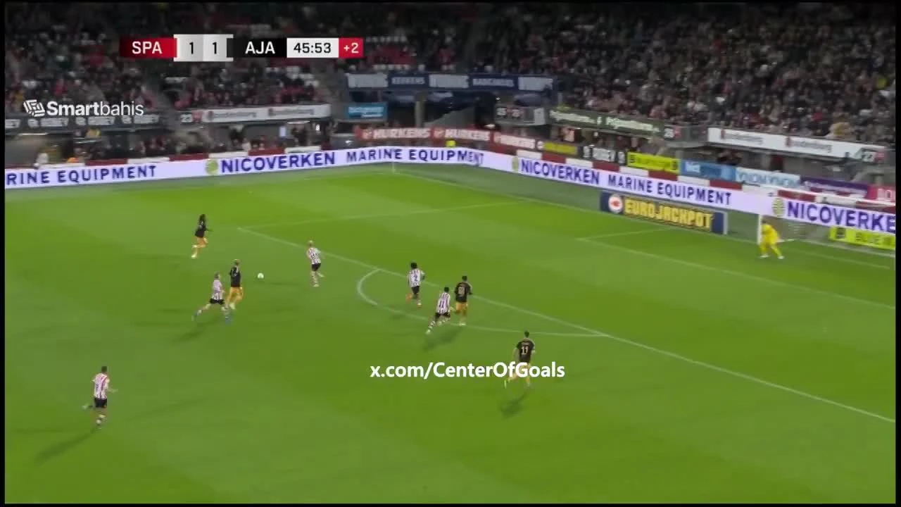 zaslepka skrotu video