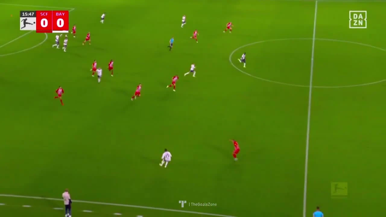zaslepka skrotu video