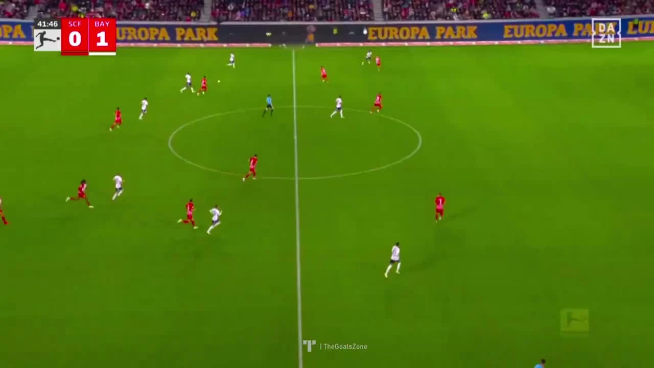 zaslepka skrotu video