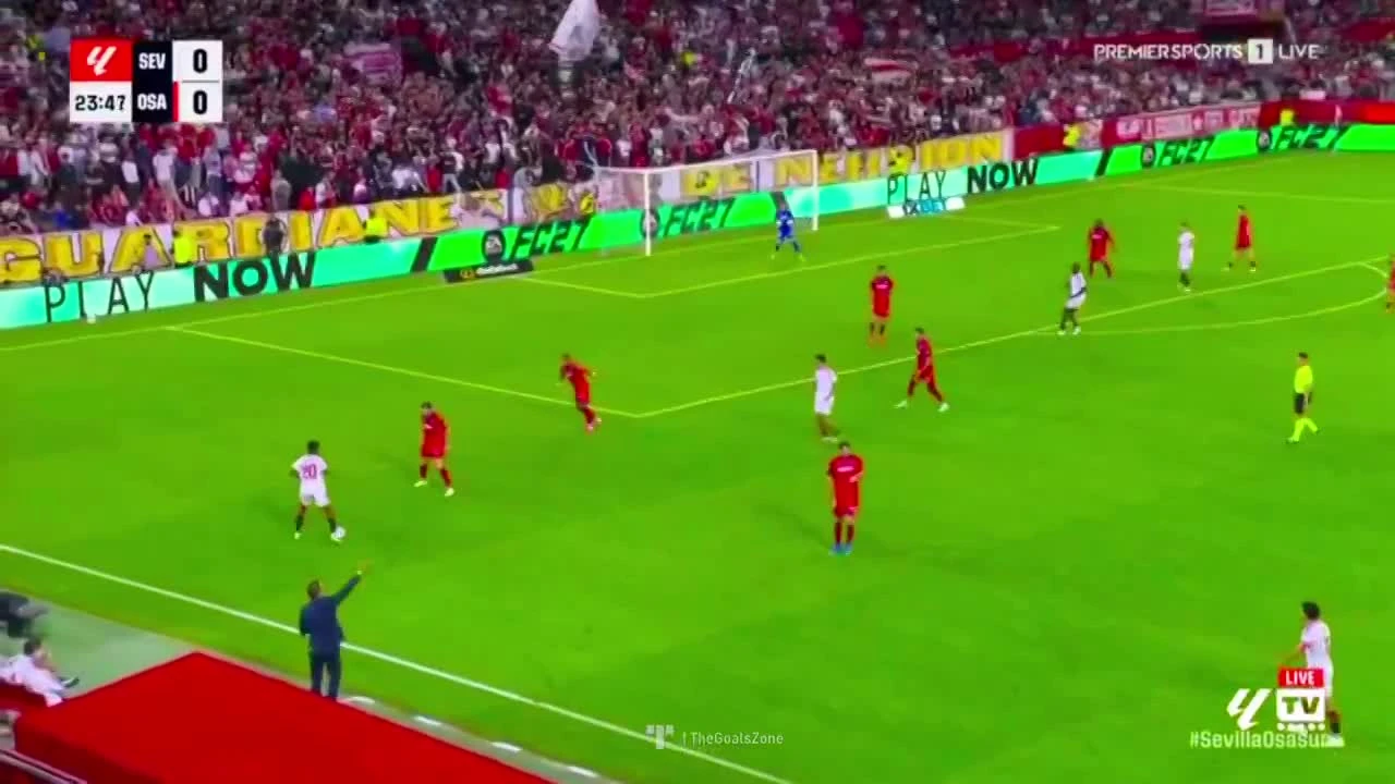 zaslepka skrotu video