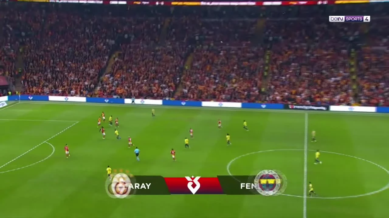 zaslepka skrotu video