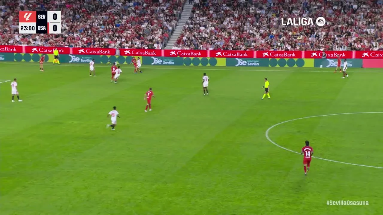 zaslepka skrotu video