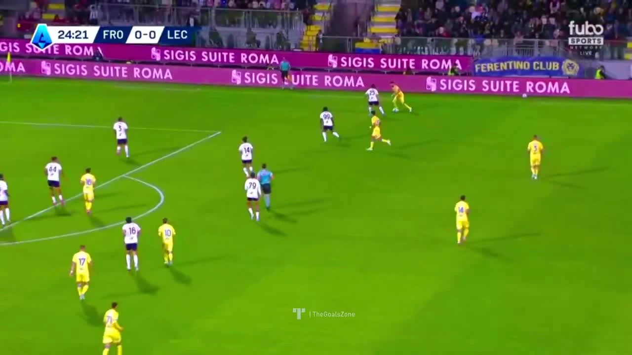 zaslepka skrotu video