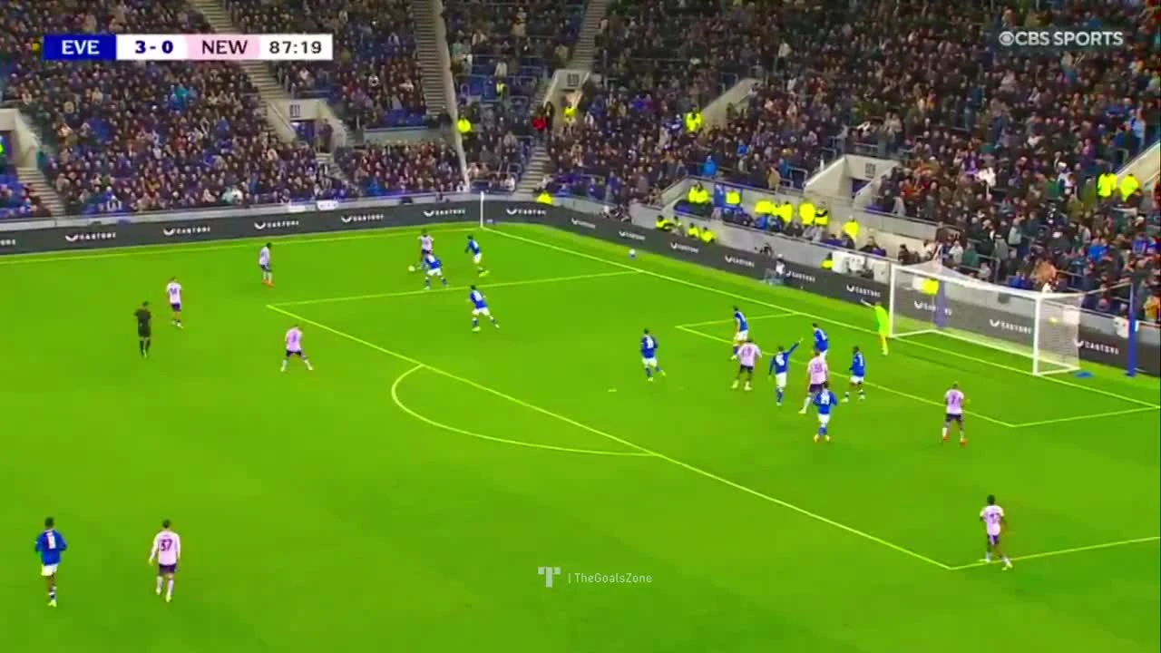zaslepka skrotu video