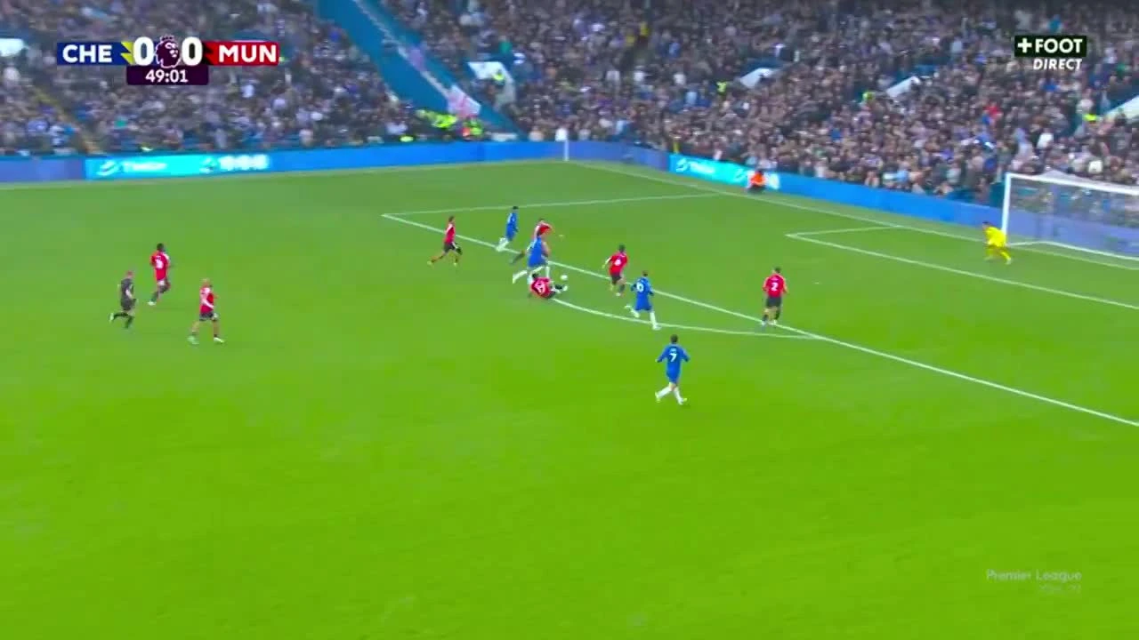 zaslepka skrotu video