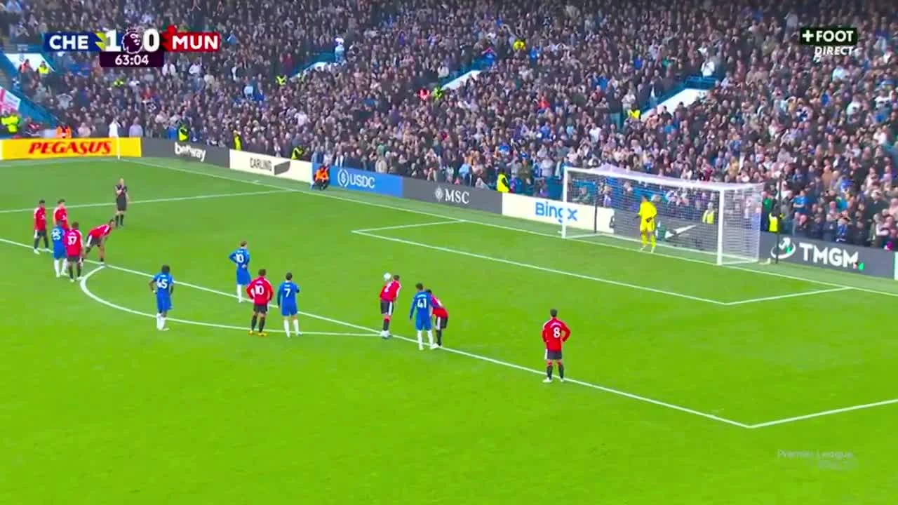 zaslepka skrotu video