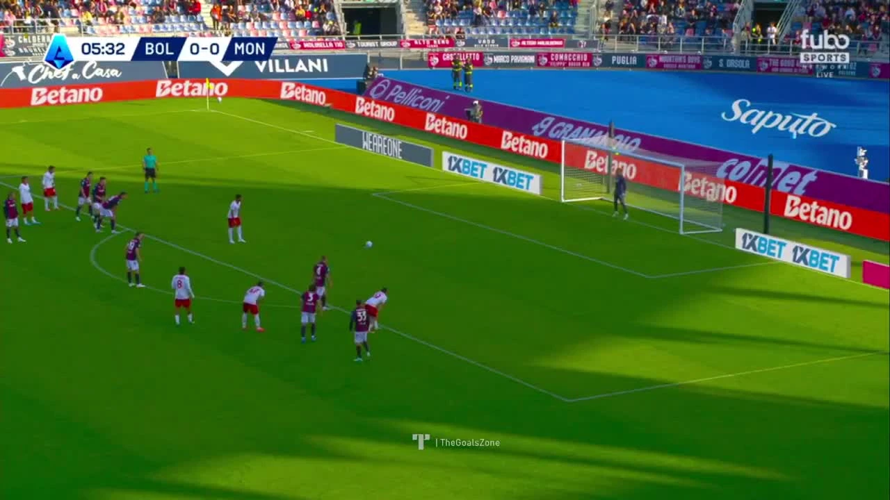 zaslepka skrotu video