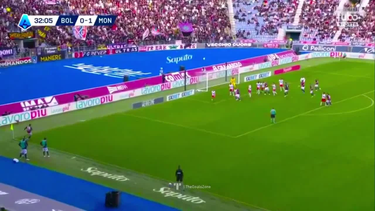 zaslepka skrotu video