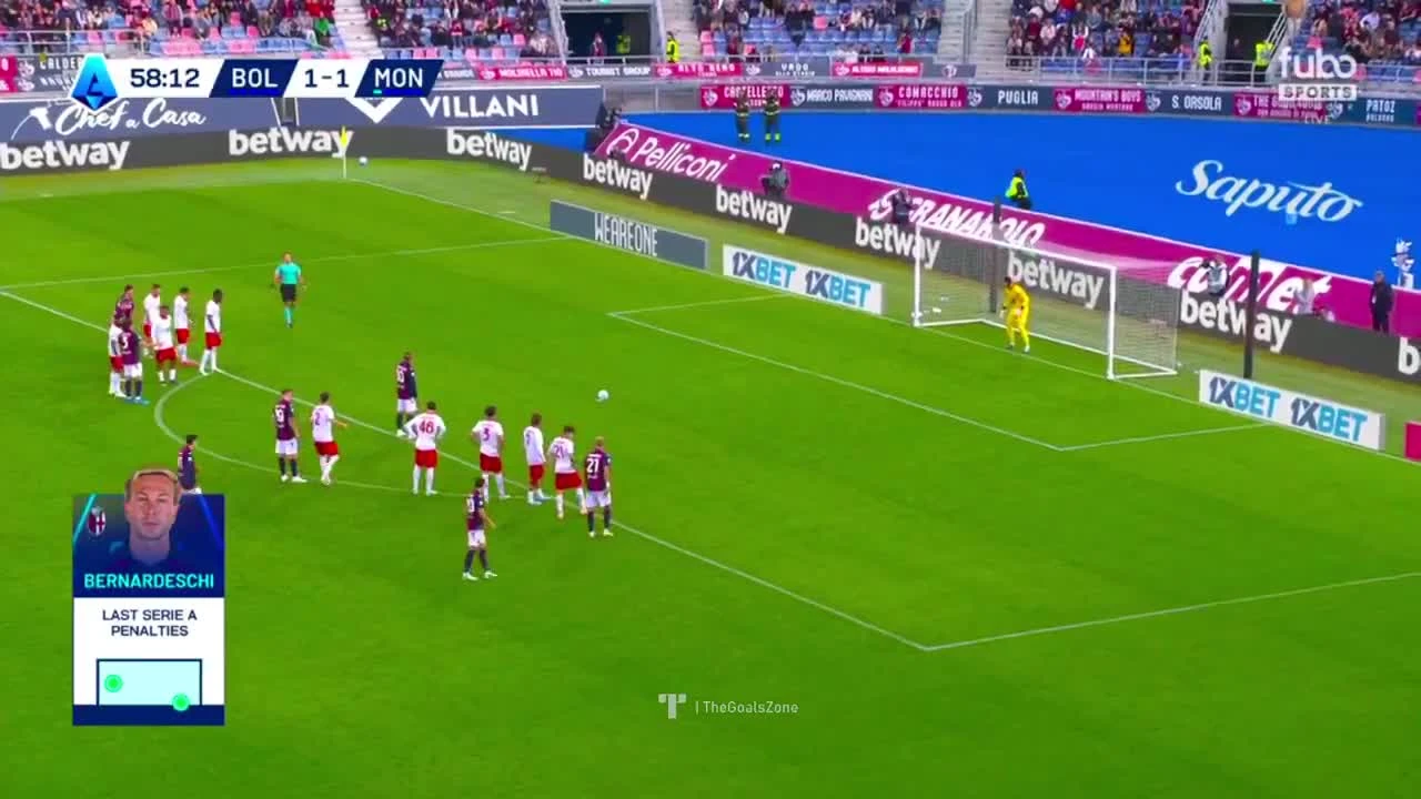 zaslepka skrotu video