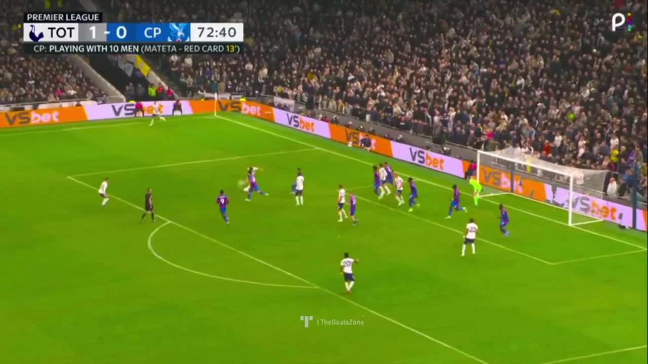 zaslepka skrotu video