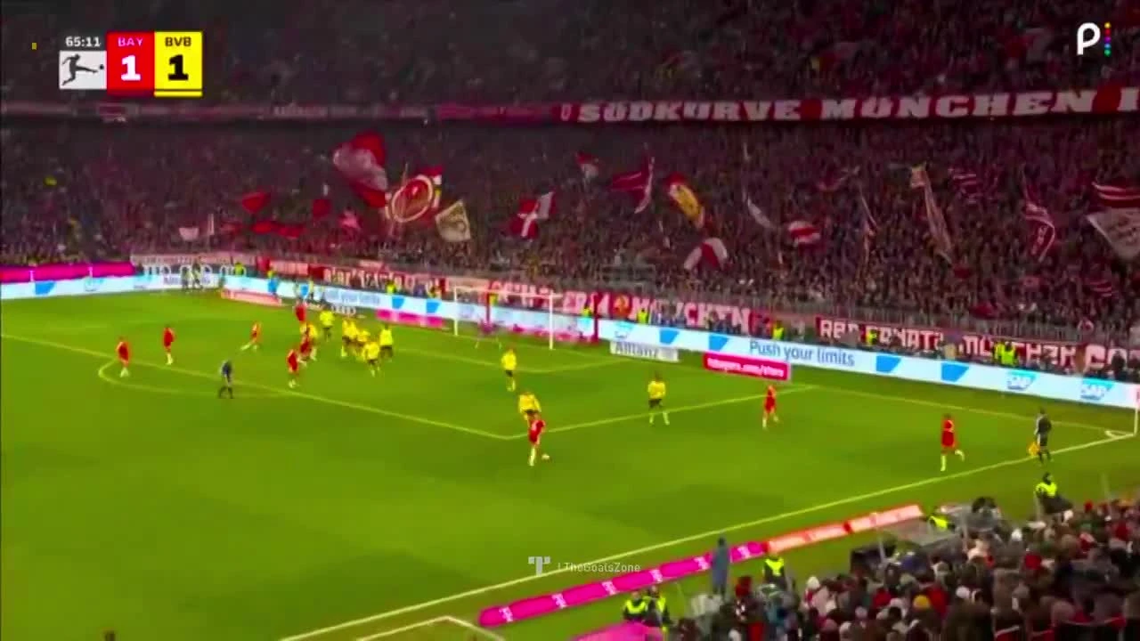 zaslepka skrotu video