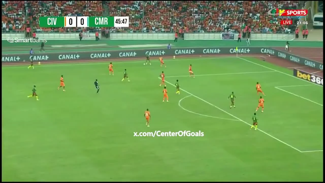 zaslepka skrotu video