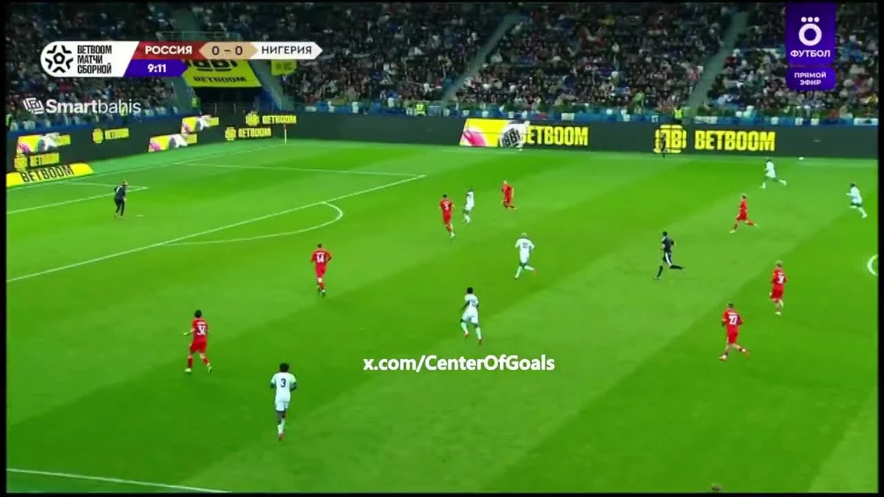 zaslepka skrotu video